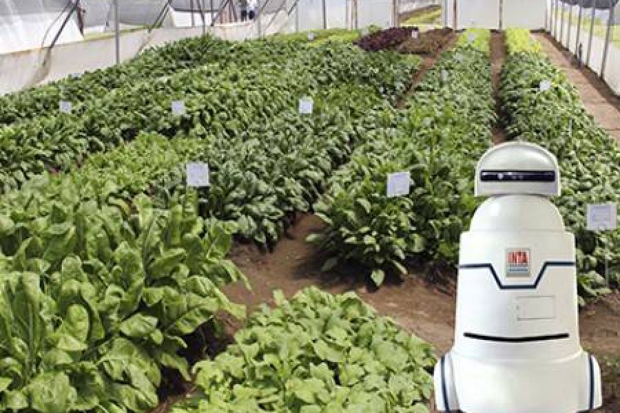 Robot para cultivos - Foto INTA
