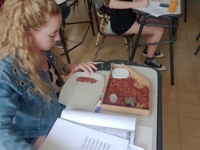 Charla informativa virtual