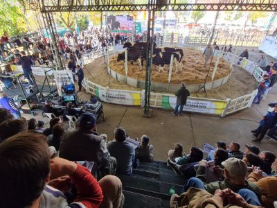 La Lehmann se destacó en Todo Láctea, con un notable acompañamiento de productores