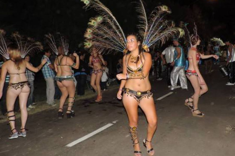 Carnavales 2014 - Foto Comuna de Franck