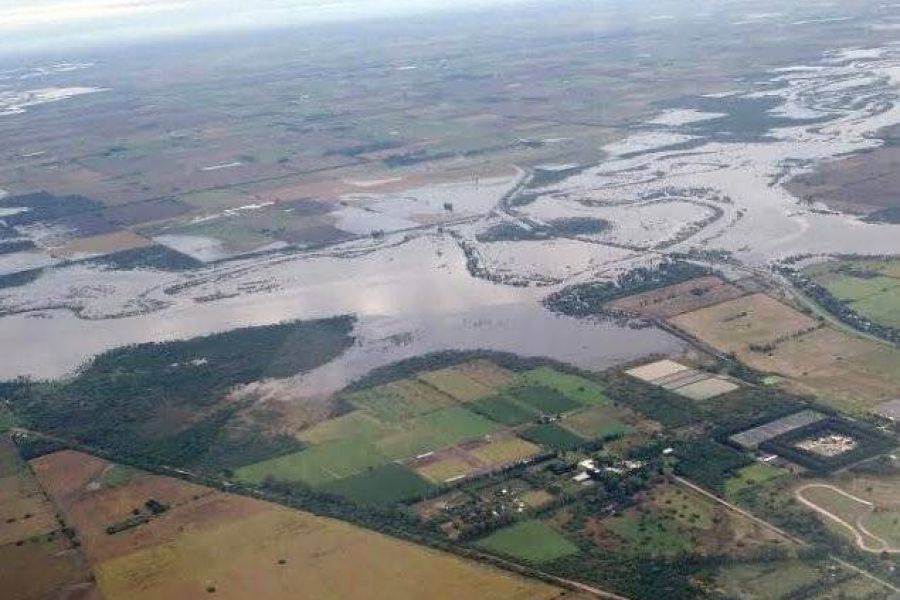 Pirola sobrevolando areas inundadas