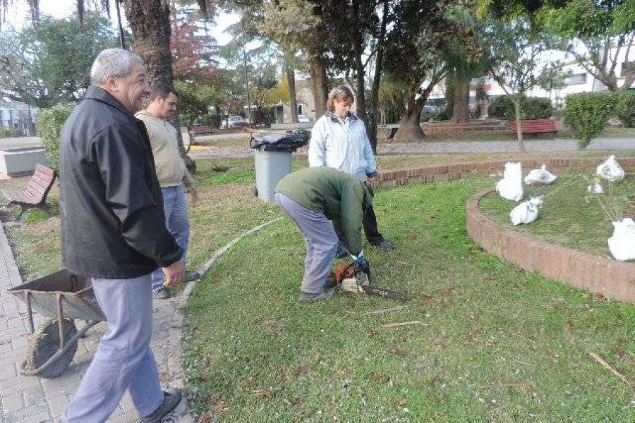 Poda en Plaza Sarmiento - Foto FM Spacio