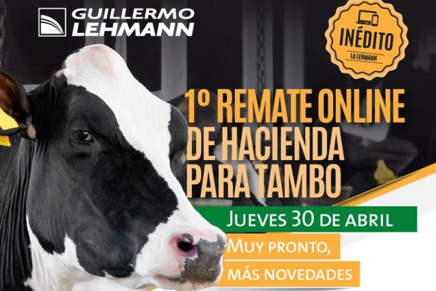 Remate online de hacienda para tambo - La Lehmann