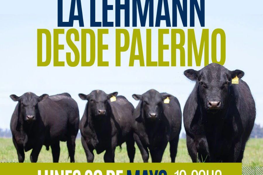 Remate de La Lehmann en Palermo