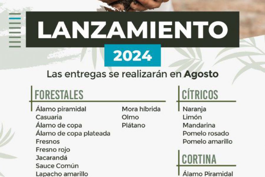 Afiche Proyecto Forestal 2024 - Lanzamiento