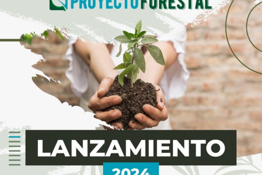 Proyecto Forestal 2024 - Lanzamiento