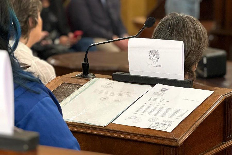 Cuidadanos en el Senado