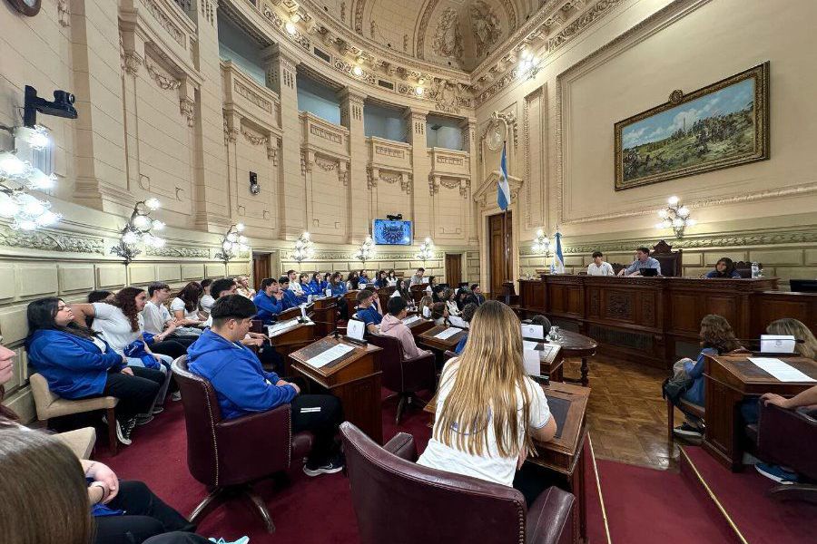 Cuidadanos en el Senado