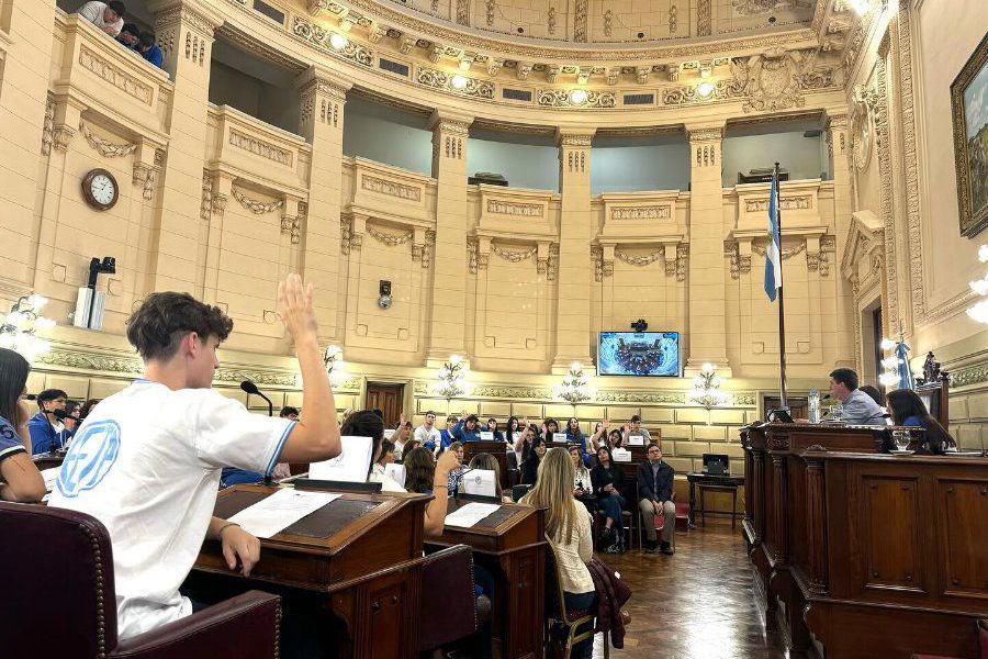 Cuidadanos en el Senado