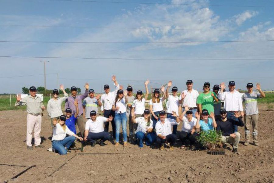 La Lehmann en nueva plantación