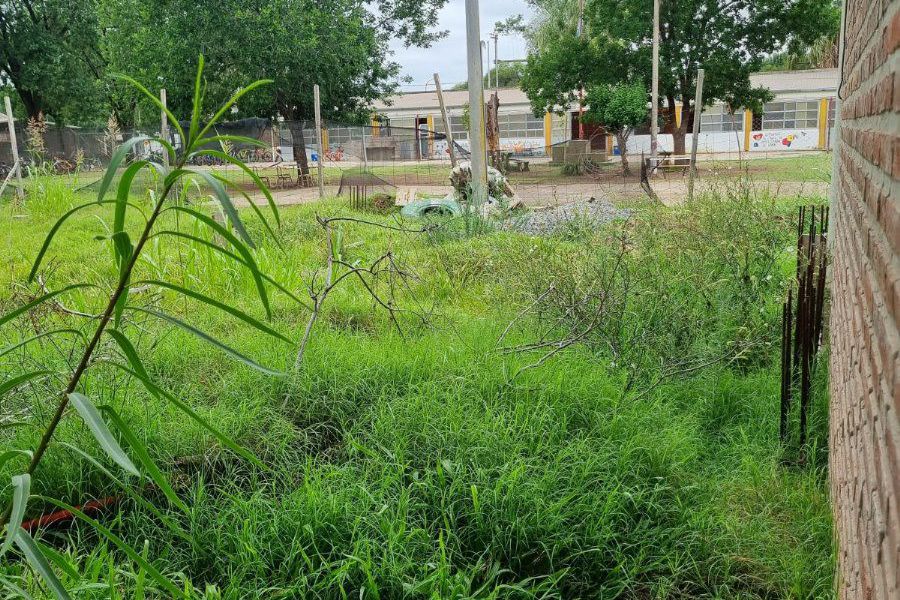 Priola en el Jardín 