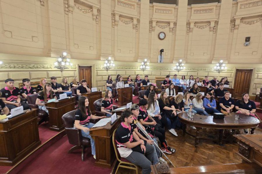 Pirola con alumnos en el Senado