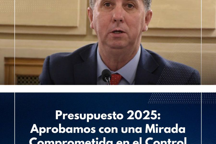 Ruben Pirola - Presupuesto 2025