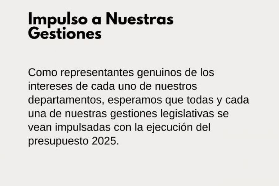 Ruben Pirola - Presupuesto 2025